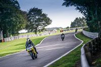 Lower Group Yellow Bikes